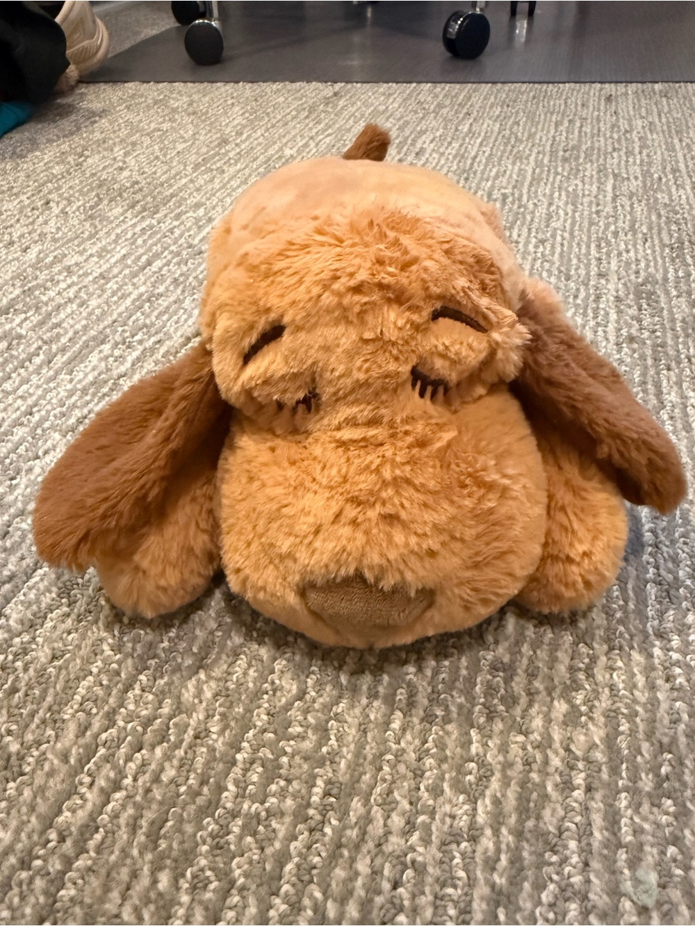 Snuggle Puppy Heartbeat Calming Dog Plush Anxiety Relief Crate Training Brown